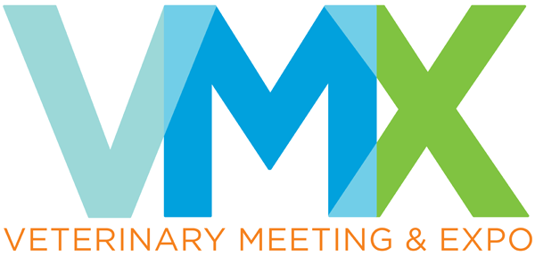 Reflections on VMX 2025: Connections, Innovation, and Industry Trends