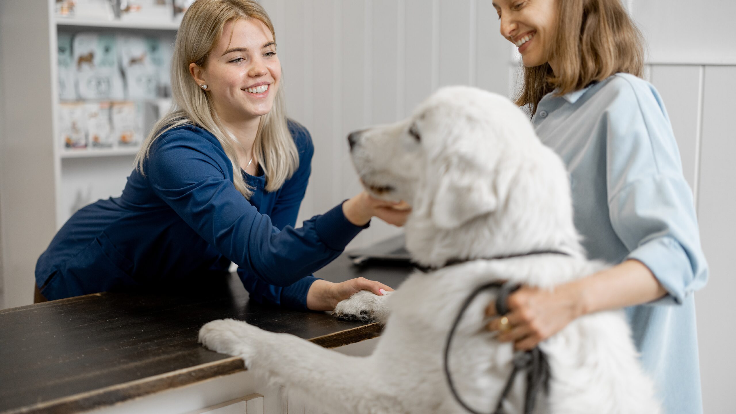 Demystifying Practice Ownership: The Three Pillars of a Thriving Veterinary Practice